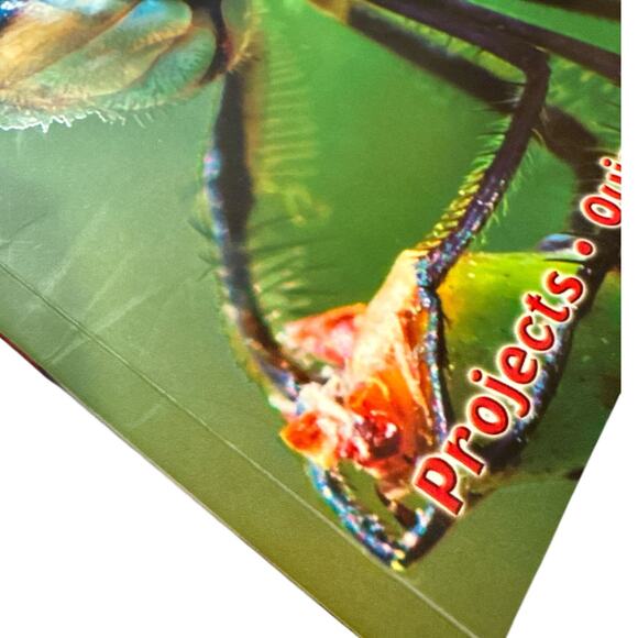 100 Facts Bugs by Miles Kelly - Very Good Condition - Picture 3 of 4